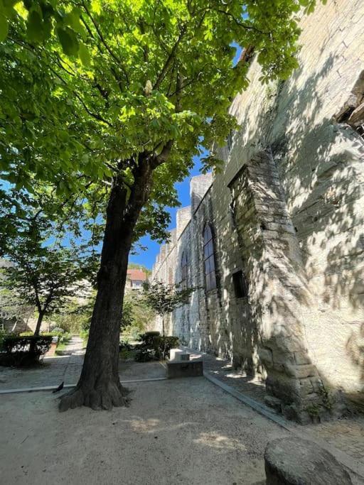 Charmant Studio, Centre Historique, Carmes Avinhão Exterior foto